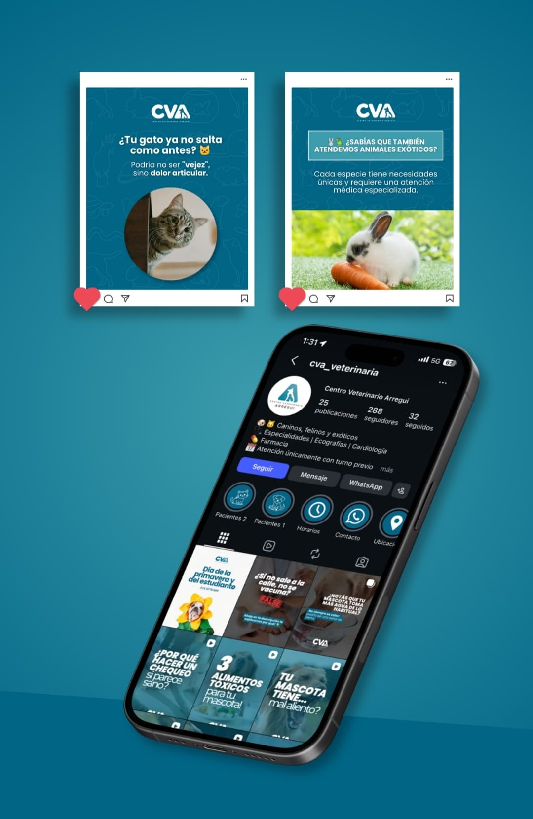 Trabajo de marketing digital de Veterinaria CVA